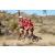 Raid Amazones Californie - J6 Trek