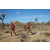 Team 44 / Raid Amazones Californie - J5 Trek