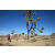 Team 85 / Raid Amazones Californie - J5 Trek