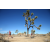 Team 79 / Raid Amazones Californie - J5 Trek