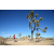 Team 79 / Raid Amazones Californie - J5 Trek