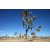 Raid Amazones Californie - J6 Trek