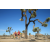 Team 76 / Raid Amazones Californie - J5 Trek