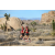 Team 42 / Raid Amazones Californie - J5 Trek