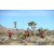 Team 14 / Raid Amazones Californie - J5 Trek