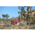 Raid Amazones Californie - J6 Trek
