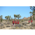 Team 34 / Raid Amazones Californie - J5 Trek