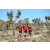 Team 34 / Raid Amazones Californie - J5 Trek
