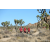 Team 91 / Raid Amazones Californie - J5 Trek