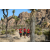 Team 19 / Raid Amazones Californie - J5 Trek