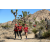 Team 12 / Raid Amazones Californie - J5 Trek