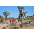 Raid Amazones Californie - J6 Trek
