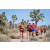 Raid Amazones Californie - J6 Trek
