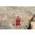 Team 95 / Raid Amazones Californie - J5 Trek