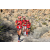 Team 41 / Raid Amazones Californie - J5 Trek