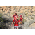 Team 41 / Raid Amazones Californie - J5 Trek