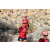 Team 43 / Raid Amazones Californie - J5 Trek