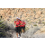Team 72 / Raid Amazones Californie - J5 Trek