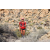 Team 68 / Raid Amazones Californie - J5 Trek