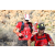 Team 97 / Raid Amazones Californie - J5 Trek