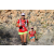 Team 97 / Raid Amazones Californie - J5 Trek