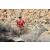 Team 94 / Raid Amazones Californie - J5 Trek