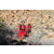 Team 74 / Raid Amazones Californie - J5 Trek
