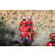 Team 62 / Raid Amazones Californie - J5 Trek