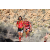 Team 61 / Raid Amazones Californie - J5 Trek