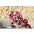 Team 16 / Raid Amazones Californie - J5 Trek