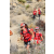 Team 56 / Raid Amazones Californie - J5 Trek