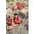 Team 26 / Raid Amazones Californie - J5 Trek