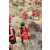 Team 26 / Raid Amazones Californie - J5 Trek
