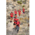 Team 25 / Raid Amazones Californie - J5 Trek