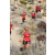 Team 34 / Raid Amazones Californie - J5 Trek