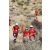 Team 19 / Raid Amazones Californie - J5 Trek