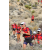 Team 19 / Raid Amazones Californie - J5 Trek