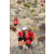 Team 19 / Raid Amazones Californie - J5 Trek