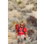 Team 06 / Raid Amazones Californie - J5 Trek