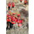 Team 12 / Raid Amazones Californie - J5 Trek