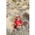 Team 35 / Raid Amazones Californie - J5 Trek
