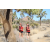 Team 56 / Raid Amazones Californie - J5 Trek