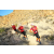 Raid Amazones Californie - J6 Trek