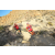 Team 68 / Raid Amazones Californie - J5 Trek