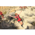 Team 67 / Raid Amazones Californie - J5 Trek