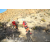 Team 44 / Raid Amazones Californie - J5 Trek