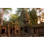 Raid Amazones Cambodge 2017