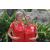 Team 46 / Raid Amazones Cambodge - J1 Trek