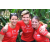 Team 172 / Raid Amazones Cambodge - J1 Trek