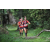 Team 07 / Raid Amazones Cambodge - J1 : Trek
